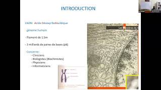 4eme Partie Cours de la Génétique L2L3 UOM ProfDr Léon TSHILOLO [upl. by Ardnekahs674]