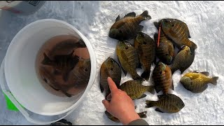 2 MAN ICE FISHING TOURNAMENT OKOBOJI IOWA Big bluegills NAIFC [upl. by Modesta]