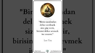 Güçlü Müsünüz Yoksa Cesaretli Mi  Lao Tzu  Dinginyasamcom [upl. by Ahsiena]