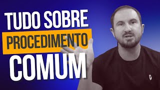 TUDO sobre o Procedimento Comum  Esquema  Legislação [upl. by Zandt]