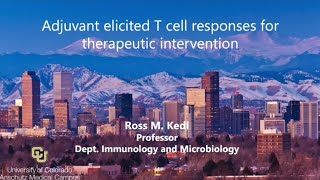 Adjuvant Elicited T Cell Responses for Therapeutic Intervention [upl. by Kinson567]