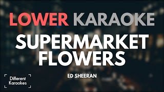 Ed Sheeran  Supermarket Flowers LOWER Key Karaoke [upl. by Marela573]