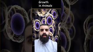 GCSE Science in a minute  Growth in animals biology gcse science school stem [upl. by Ruscio35]