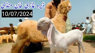 10 July 2024  dera ghazi khan bakra mandi update today  goat farming business in Pakistan [upl. by Naibaf]