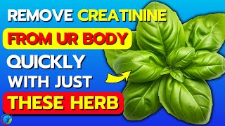 Top 6 Best NATURAL HERBS To REDUCE CREATININE Levels Effectively  Health Solutions [upl. by Nylirehs]