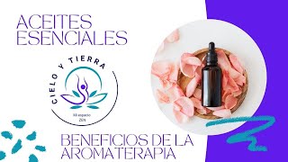 Descubre los Poderosos Beneficios de la Aromaterapia Salud y Bienestar con Aceites Esenciales [upl. by Jimmy]