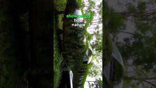 AI video🤯  Abandoned Airplane in woods ai aishorts airplane abandoned abandonedplaces forest [upl. by Aiset]