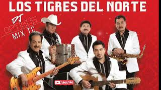 LOS TIGRES DEL NORTE MIX🎷🪗 RANCHERAS MIX 🔥 BY djoptimuseloriginal [upl. by Eniluap552]