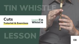 Cuts Ornamentation  Irish Tin Whistle Tutorial [upl. by Hedi514]