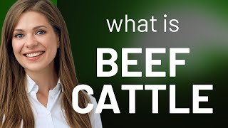 Understanding quotBeef Cattlequot An English Language Guide [upl. by Esdnyl326]