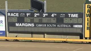 Gawler31072024Race8 [upl. by Olracnaig]