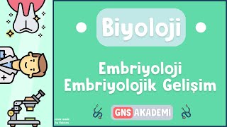 EMBRİYOLOJİ   Embriyolojik Gelişim   KONU ANLATIMI  BİYOLOJİ  İZLE [upl. by Lemrej677]