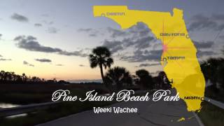 Pine Island Beach Park Weeki Wachee [upl. by Mcmurry771]