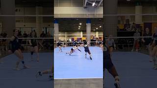 Volleyball Rally from Music City NOLA libero dmoon hustle [upl. by Cavill614]