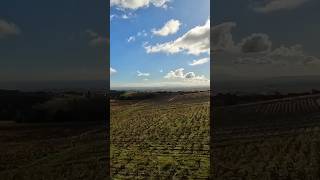 Drone Over Morgon CRU BEAUJOLAIS France [upl. by Karissa303]