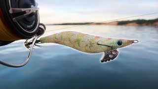 This Squid Jig Always Catches [upl. by Ursel]