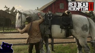 Red Dead Redemption 2 freeroam riding Light Grey Shire showing its paces [upl. by Sivrep409]