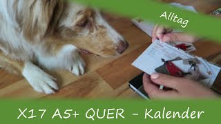 X17 A5 QUER  Kalender 2017  Unboxing  von Frauchen [upl. by Naitsabes621]