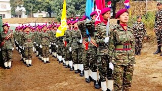 NCC pass out parade 2080 🎖️⚔️ 49th batch junior division yangsila morang [upl. by Eidualc]