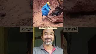 കരുണയുള്ളവൻ വലിയവൻrescuedog dog dogs rescue malayalam viralvideo trending shortvideo views [upl. by Anilejna579]