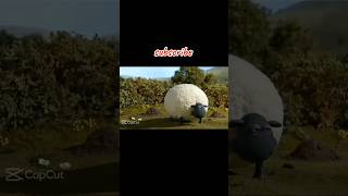 meme Shaun the sheep 🗿 subscribe capcutedit shaunthesheep memes funny subscribe lucu [upl. by Reahard]