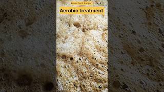 Aerobic treatment  biological treatment  MBBR tank  ETP  water treatment [upl. by Htebaile]