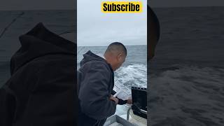 Albacore Tuna Fishing chumming the water fishing tuna albacore pnw [upl. by Ajup875]