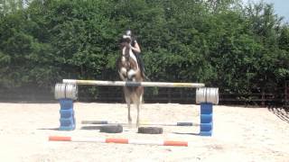 Jumping 1m30 no stirrups [upl. by Ellivnarg]