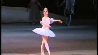 1989 Bolshoi Ballet Nutcracker excerpts 1112 by GrigorovichTchaikovsky  The Sugar Plum Fairy [upl. by Nort732]