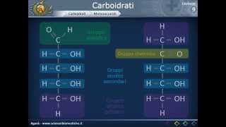 Citologia 09  Carboidrati [upl. by Nylzaj]