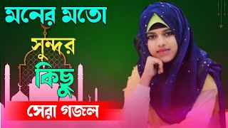 শিল্পী দুলারা পারভীন Bangla gojol islamic gojol সেরা গজল মনের মতন নতুন গজল 2024 নতুন গজল [upl. by Eicyak]