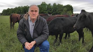 Managing a Small Cattle Herd [upl. by Abrahams]