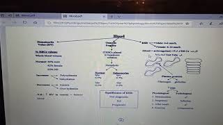 Blood Summary Dr Mohamed Fayez [upl. by Amsab550]