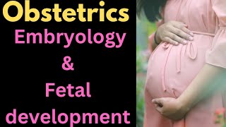 Embryology and fetal developmentobstetrics medical nursing [upl. by Meeki]