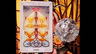 A Card For You A Read From Me  the Fourth Cup Luxury tarot thoth shaman crystalball [upl. by Luthanen]