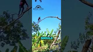 Man Uses Chainsaw To Cut Branch While Walking On It [upl. by Tcideneb43]