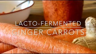 Make Fermented Ginger Carrots  A Sweet Super Probiotic Food [upl. by Runck889]