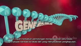 Mutagenesis Transposon [upl. by Neyr]