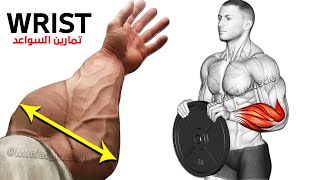 9 PERFECT EXERCISES FOREARM WORKOUT 🎯 [upl. by Taft]