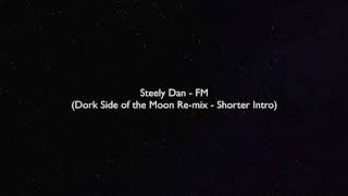 Steely Dan  FM no static at all  Dork Side of the Moon Remix  Shorter Intro [upl. by Valene]