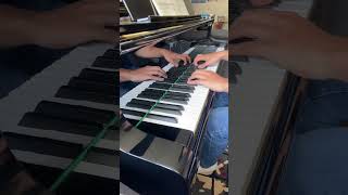 Je Te Laisserai Des Mots music piano pianocover pianist [upl. by Rizzo]