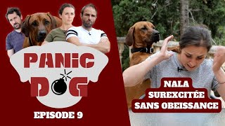 Chien qui nécoute RIEN  INGERABLE   Panic Dog Ep9 [upl. by Nabois933]