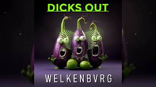 Dicks Out feat KasperKast amp BigShlo LMFAO  Shots Cover [upl. by Ahsirkal200]