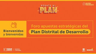 Plan De Desarrollo Distrital [upl. by Carlick509]