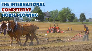 Competitive Horse Plowing  The International Horse Plowing Competition [upl. by Baiel]