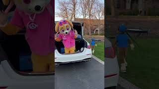 Hello Skye Paw Patrol PAWPatrolOfficial pawpatrol kidsvideo funnyvideos music [upl. by Lednar]