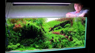 IAPLC 2023 rank 83  Aquascape 138 cm setup  Акваскейп 138 см поэтапное формирование [upl. by Nomsed]