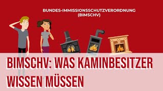 Kaminöfen ab 2025 verboten Die Fakten zum Gebäudeenergiegesetz und der BImSchV 🔥 [upl. by Yarled]