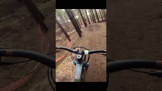 MTB💥Almost HIT the TREE mtb bikepark mtbbike mtblife downhill trail trails bike cycle [upl. by Irakab]