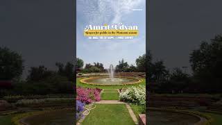 The iconic Amrit Udyan previously known as Mughal Garden inside the Rashtrapati Bhavan amritudyan [upl. by Nairb]